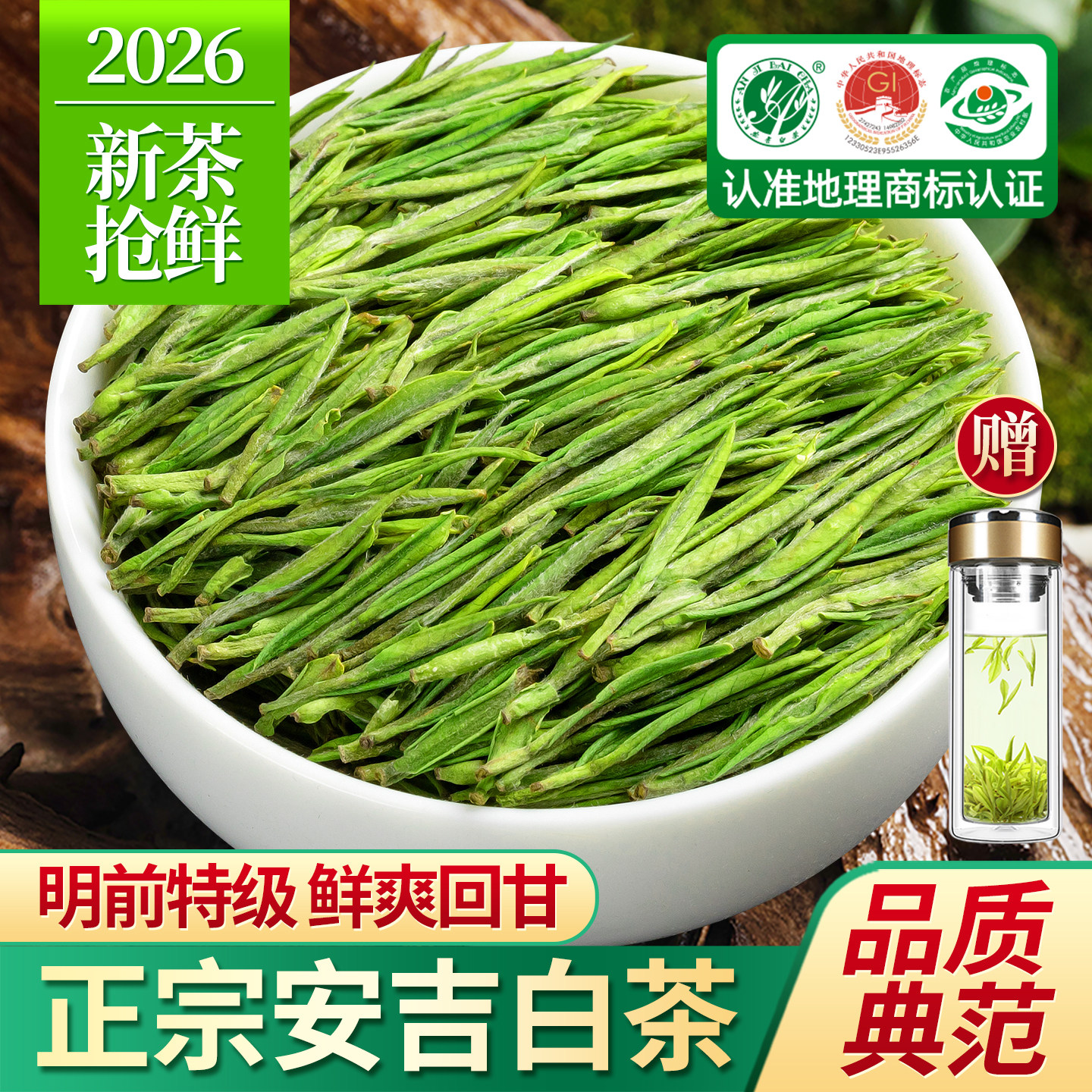 赛八仙安吉白茶2026新茶特级明前绿茶珍稀白茶散装茶叶礼盒装500g