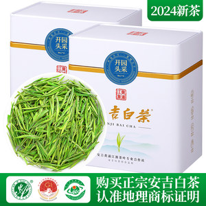 安吉白茶2024新茶特级头采芽绿茶