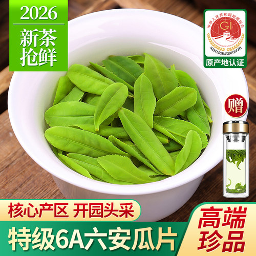 六安瓜片2026新茶珍品6A茶叶500g