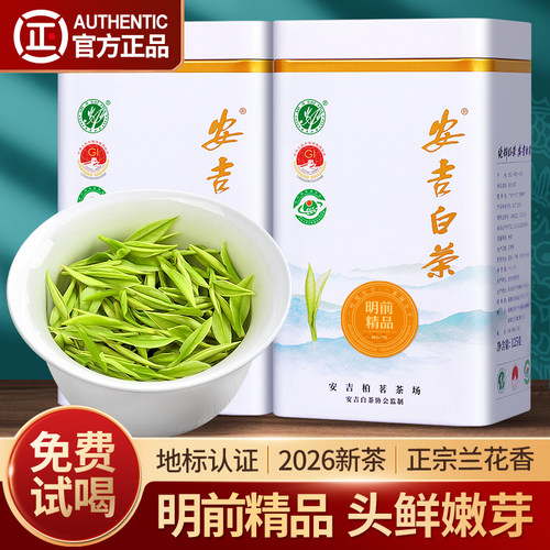 2026新茶安吉白茶7A精品500g罐装