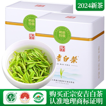 2024新茶安吉白茶特级3A绿茶明前珍稀白茶官方正品茶叶礼盒装250g