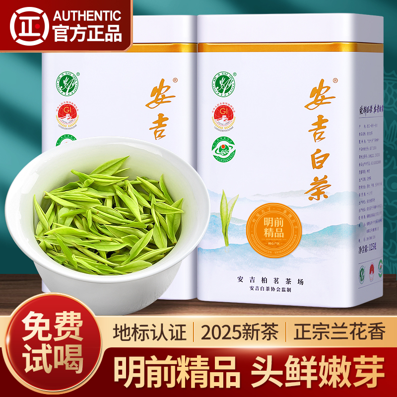 2025新茶安吉白茶7A精品500g罐装