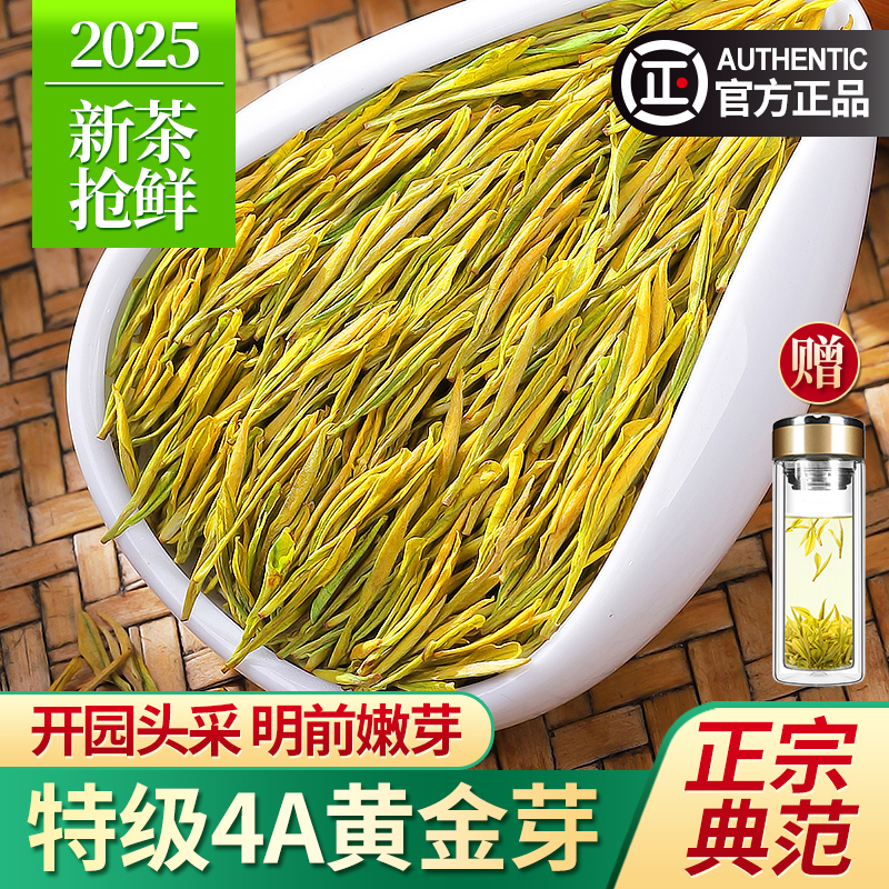 黄金芽茶叶2025年新茶4A特级500g