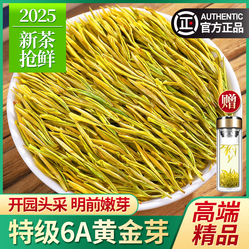 黃金芽茶葉特級6A精品茶葉500g