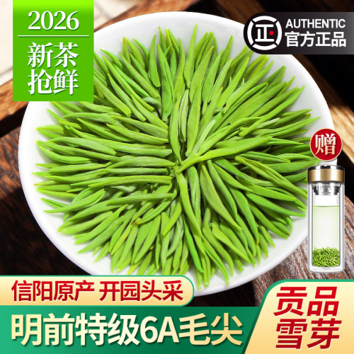 信阳毛尖2026新茶特级6A贡品茶叶