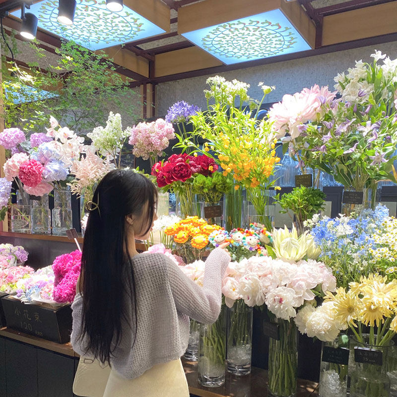 打卡背影照片抖音快手短视频遮脸素材图片