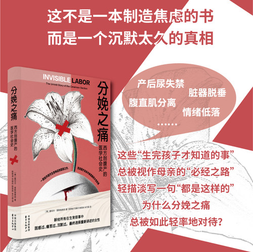 分娩之痛:西方剖腹产的医学社会史（一部剖开现代生育神话的震撼之作， 照亮医疗体系中被遮蔽的女性伤痕）