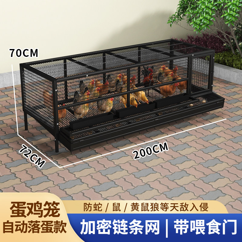 大号链条网鸡笼加密防蛇鼠方便耐用出蛋蛋托款可选厂家包邮热销款