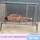 加宽加高钢筋狗笼子大型犬加粗加固实心钢筋焊接室外加厚狗场专用