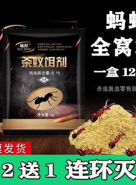 确邦黑蚂蚁粉状饵剂新款神器