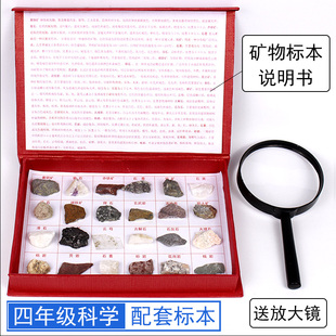 岩石矿物矿石石头标本小学科学四年级下册24种/42种盒装套装可拿活动固定地理地质工程科普教具学具教学仪器