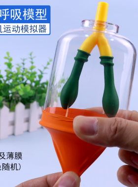 膈肌运动模拟器肺呼吸模型
