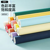 大尺寸背景纸拍照道具马卡龙背景板摄影人像视频静物纯色拍摄背景墙室内照相婚纱影棚影楼2米5 10米不反光