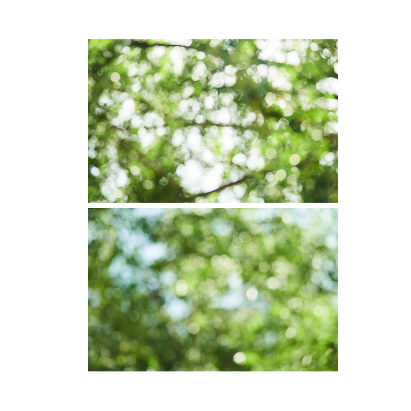 新款双面3d立体树影森林直播拍摄背景纸光影拍照道具网红拍摄美妆护肤品酒水花茶饮料美食美妆手机摄影背景墙
