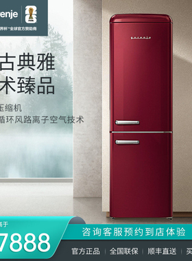 gorenje/古洛尼 欧洲原装进口双门复古冰箱302L变频风冷ONRK619DR