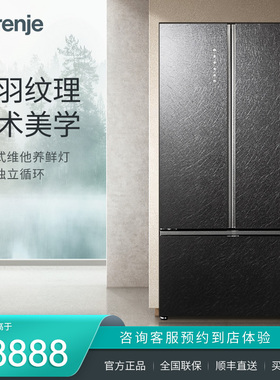 gorenje/古洛尼 欧式精储对开三门风冷变频606L冰箱NRS9191T1B