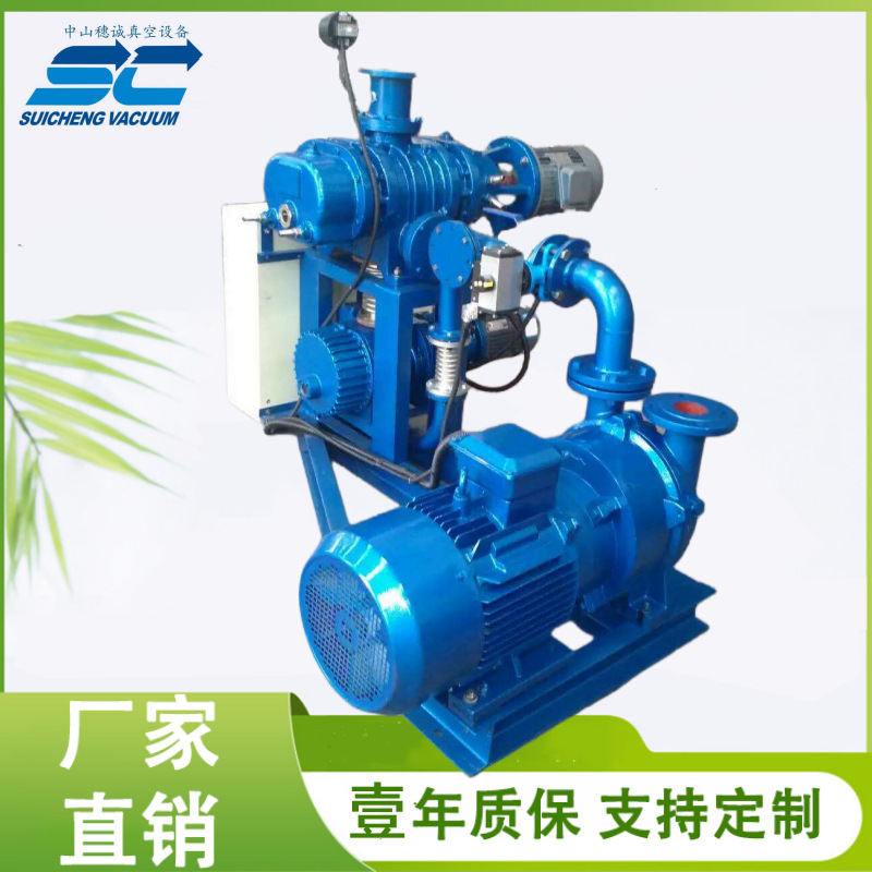 真空机组 中山罗茨水环真空泵机组 穗诚质造