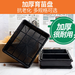 塑料多肉育苗盘小号耐用加厚叶插盆播种器育苗托盘闷养盆可选带盖