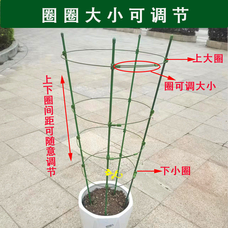 昙花专用支架爬藤花架月季蟹爪兰绿箩可伸缩阳台绿植攀爬花卉支架