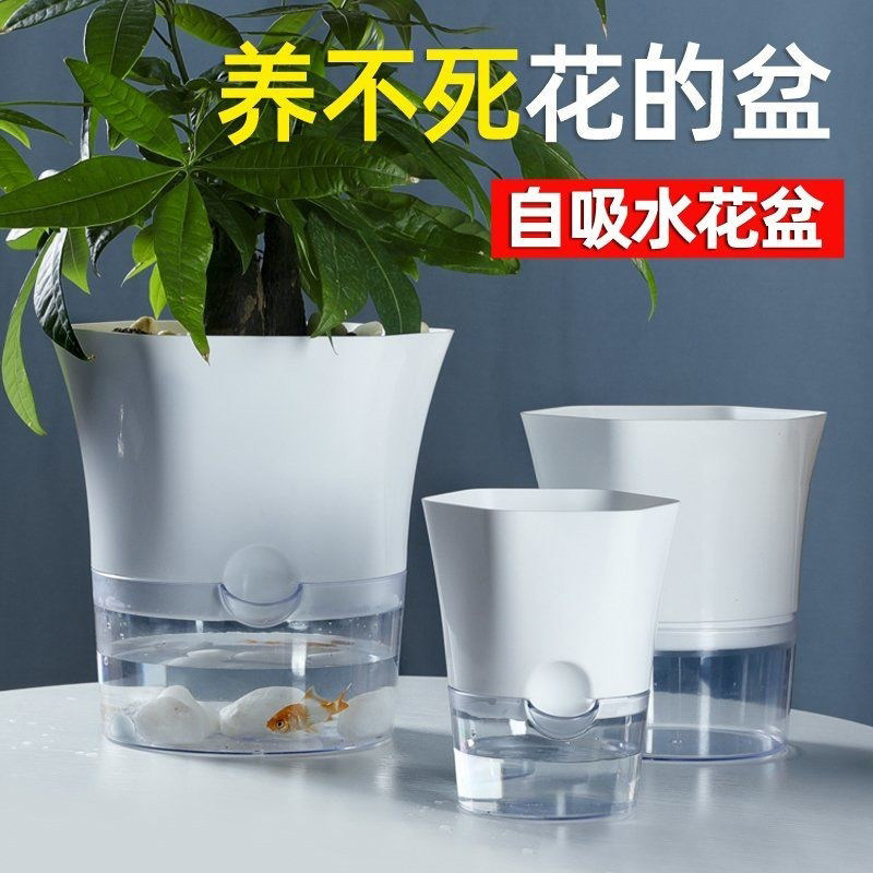懒人自动吸水花盆透明塑料花盆简约水培花盆新款黄金葛阳台室内花