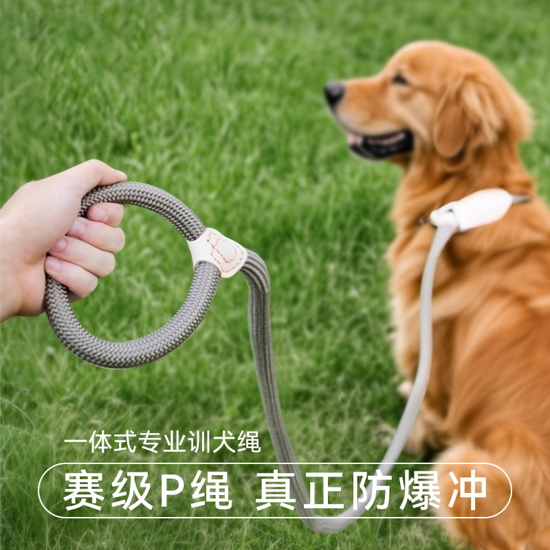 狗狗牵引绳遛狗牵引绳p链