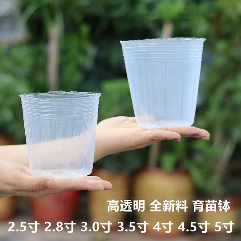 蝴蝶兰专用花盆营养杯石斛拼组盆育苗杯塑料透明植物育苗袋定植钵