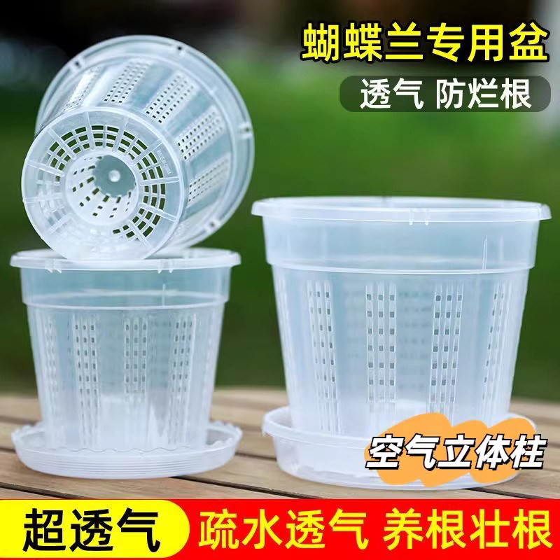 蝴蝶兰专用花盆空气柱透明青山盆特大号大口径塑料圆形桌面高花盆