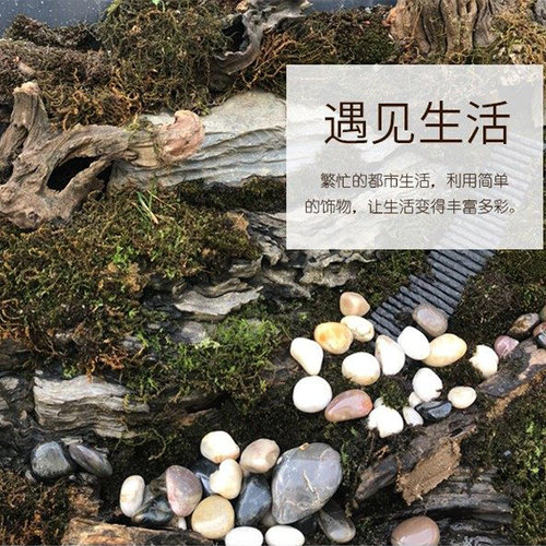 天然雨花石鹅卵石鱼缸造景原石小