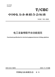 电工装 743—2023 T／CEC 备物联平台功能规范 按需印刷