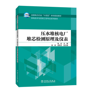 压水堆核电厂堆芯检测原理及仪表