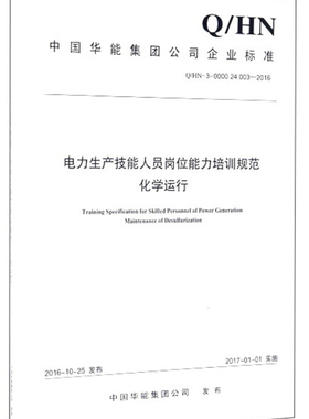 Q/HN-3-0000.24.010—2016 电力生产技能人员岗位能力培训规范
