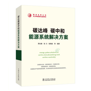 碳达峰碳中和能源系统解决方案