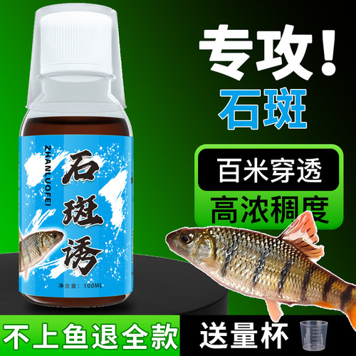 石斑马口白条小药溪流钓