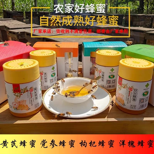 青谷家 蜂蜜农家土蜂蜜500g瓶装农家自产洋槐党参黄芪枸杞蜂蜜