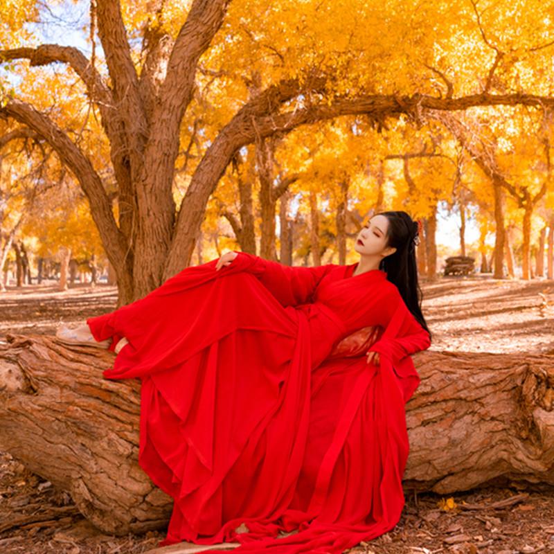 新款成人汉服女装超仙服装魏晋风古装战国演出服红色舞蹈服