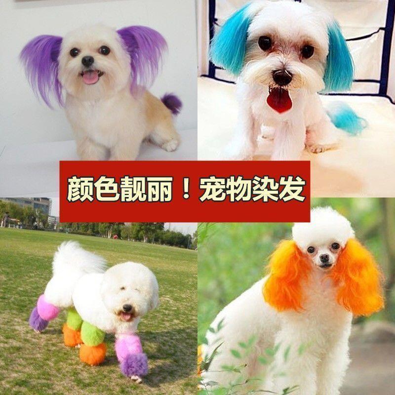 宠物染发剂永久狗狗染毛动物染毛膏比熊泰迪去泪痕飘色剂染护染色