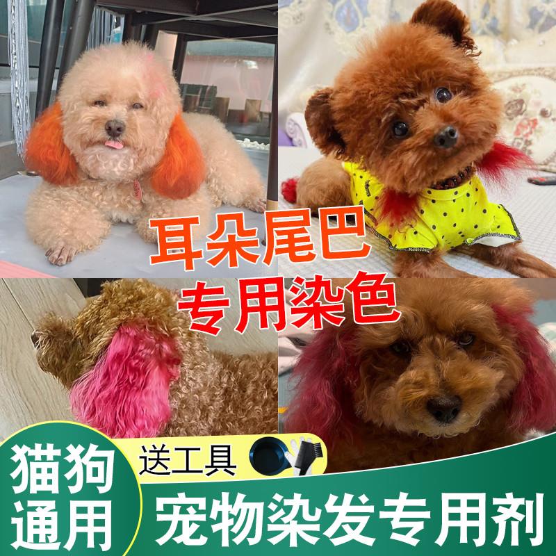 狗狗染发剂宠物专用宠物染色剂染毛膏白色毛贵宾犬比熊泰迪去泪痕