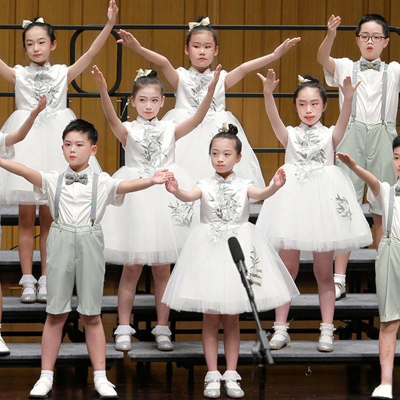 六一儿童合唱服男女童礼服演出服中小学生纱裙大合唱团诗歌朗诵服