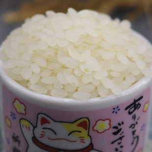 500g 可寿司可米饭礼盒东北软糯煮粥粳米 奶色姬品种大米 越前