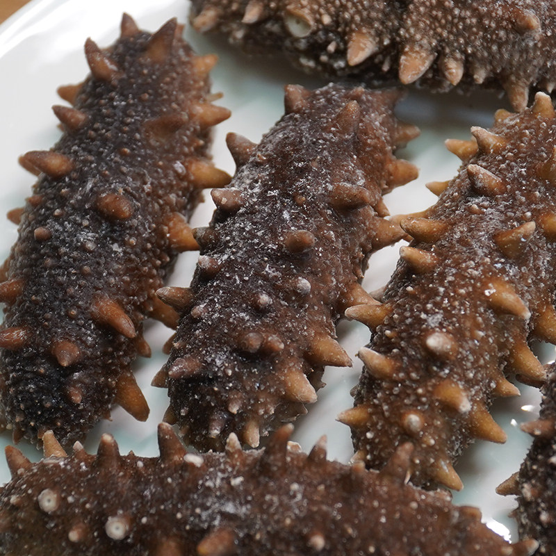 寻味潮汕鲜食海参刺参海鲜年夜饭过年年货送礼礼品顺丰冷链,传统滋补营养品,干品/即食海参,淘宝优惠券,粉丝福利购,淘宝优惠卷