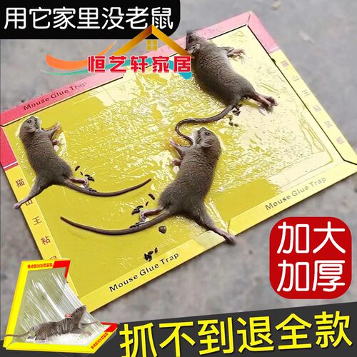 超强粘鼠板强力胶粘大老鼠正品家用沾黏灭捕鼠驱鼠老鼠贴纸超大号
