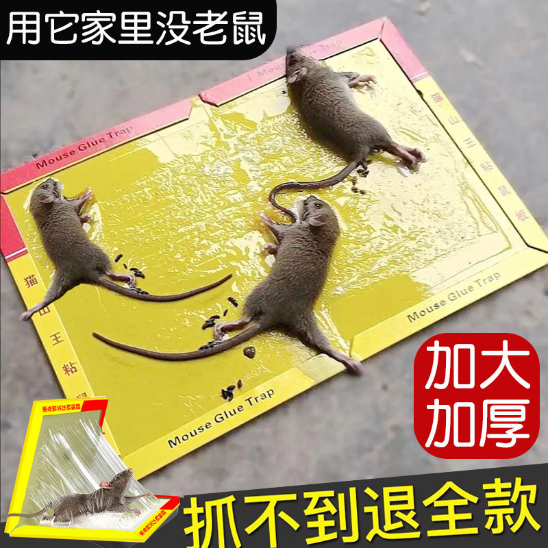 老鼠贴强力粘鼠板家用正品超强力胶粘抓大老鼠夹扑捉灭鼠捕鼠神器