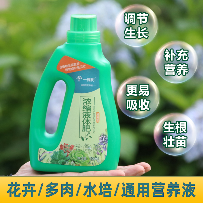 花卉浓缩植物水培通用型液体肥