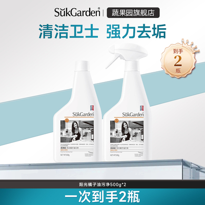 tk厨房抽油烟机清洁剂去油泡沫去污清洗剂去重油污净洗家用500g*2