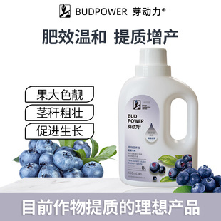 蓝莓专用肥料高浓缩营养液家用果树盆栽蔬果改善果大果甜