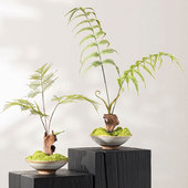 侘寂风永生苔藓绿植文竹根雕茶几角几样板房设计师售楼处盆景摆件