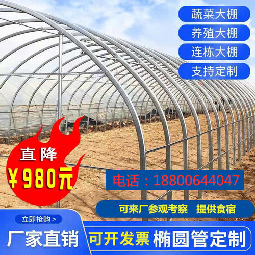 柯帆大棚钢管蔬菜种植养殖