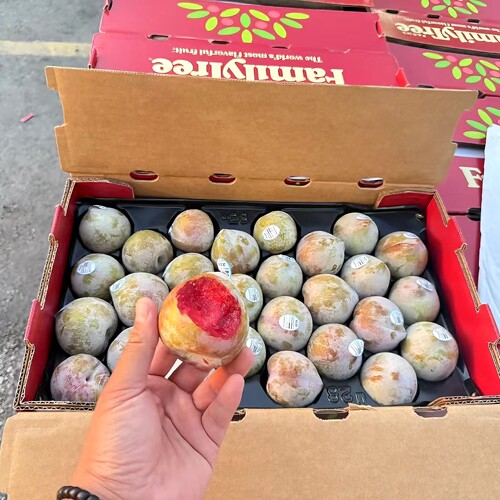 美国进口蜥蜴蛋恐龙蛋李子新鲜
