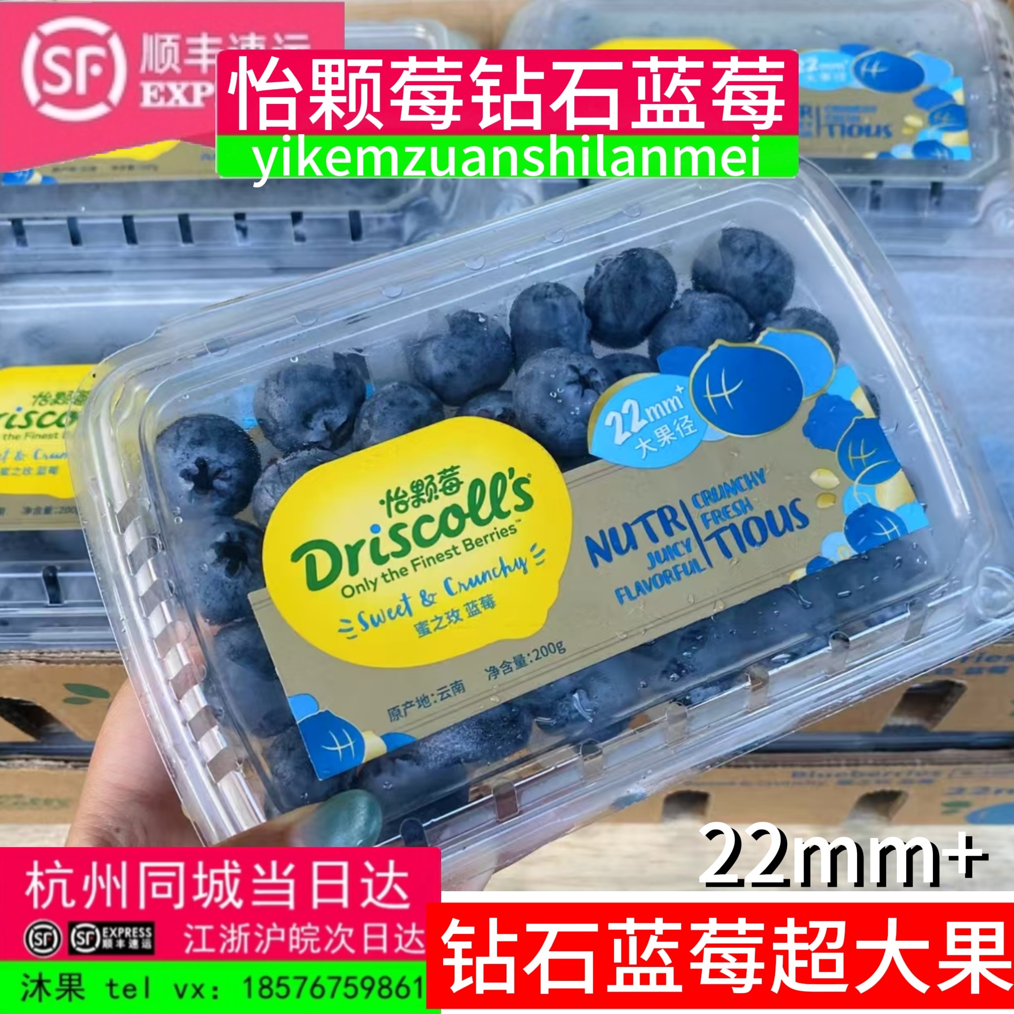 【怡颗莓钻石蓝莓】蜜之玫巨无霸蓝莓22mm+应季新鲜水果200g/盒 - 实物图