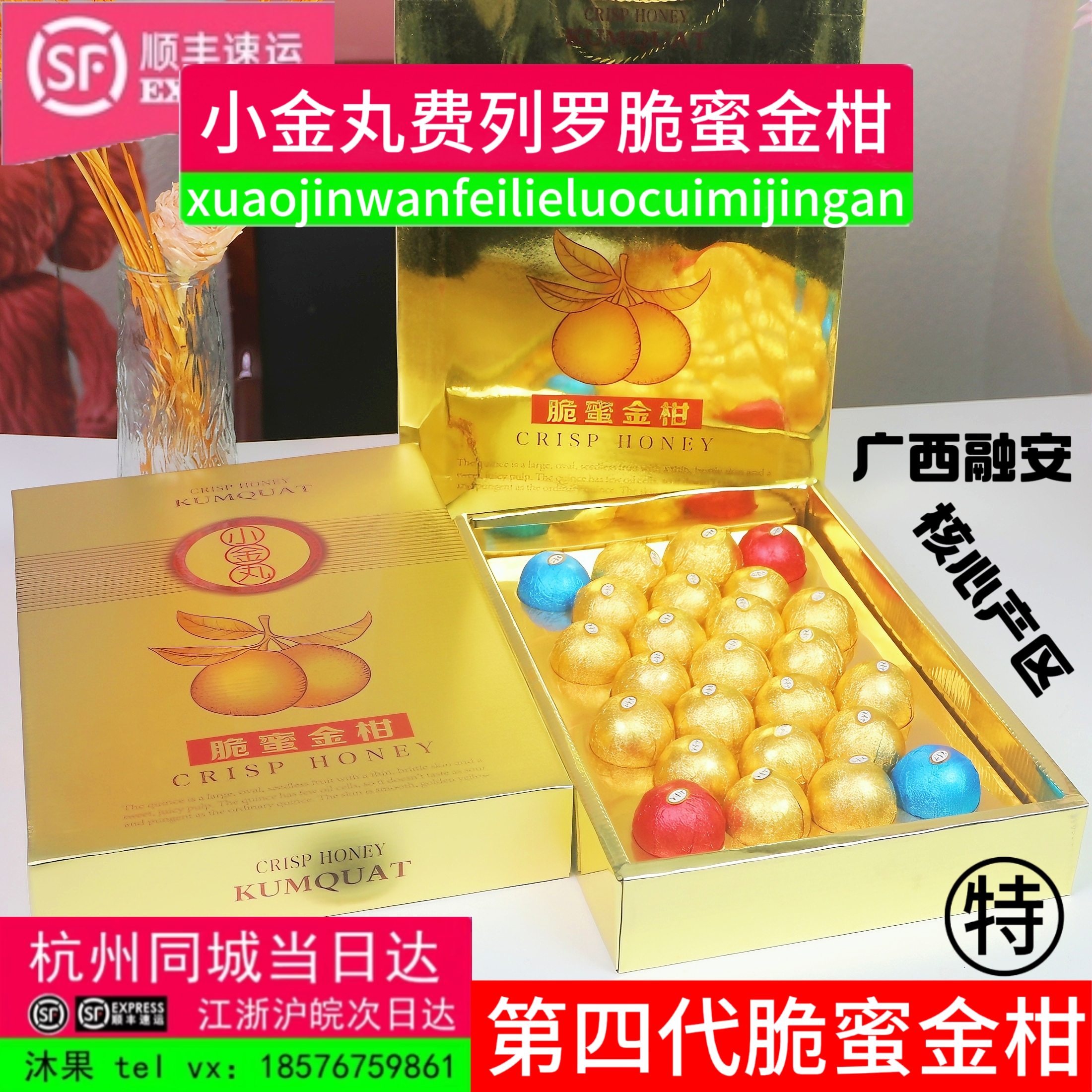 广西融安糖衣特大脆蜜金柑超大果25颗巧克力礼盒装第三代新鲜纯甜